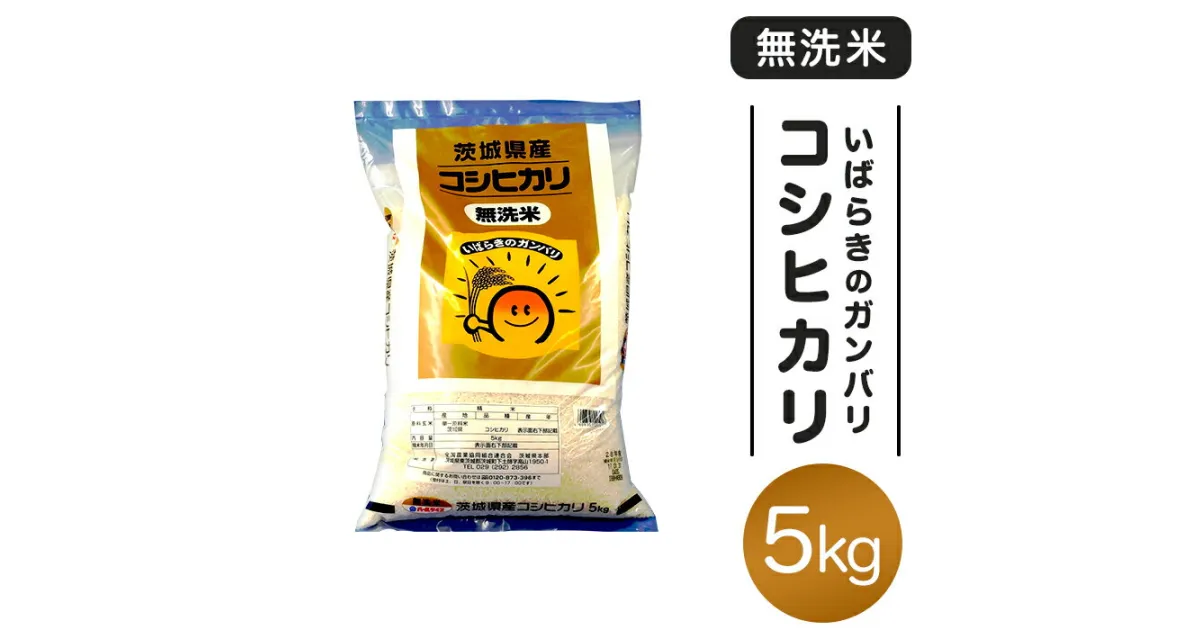 【ふるさと納税】米 無洗米 令和6年 こしひかり ガンバリコシヒカリ 151 無洗米 コシヒカリ 5kg 令和6年 茨城県産