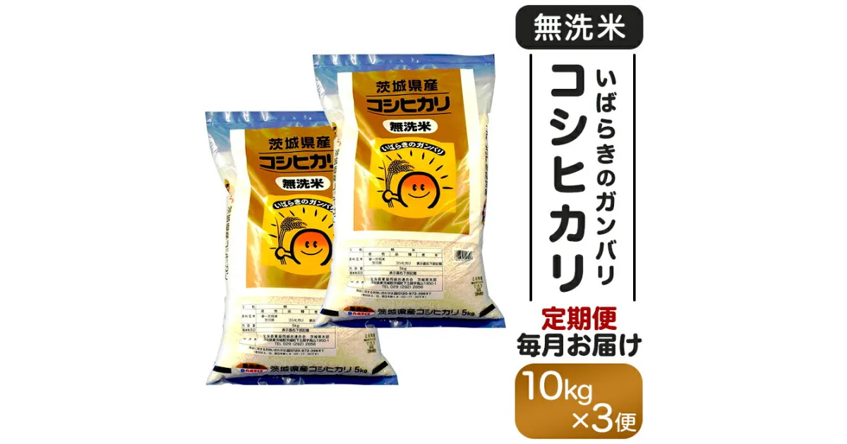 【ふるさと納税】米 無洗米 定期便 令和6年 こしひかり ガンバリコシヒカリ 158 無洗米 コシヒカリ 10kg 定期便 令和6年 茨城県産【3ヵ月連続お届け】