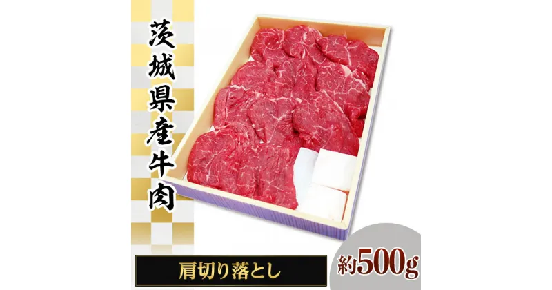 【ふるさと納税】065茨城県産牛肉 肩切り落とし約500g