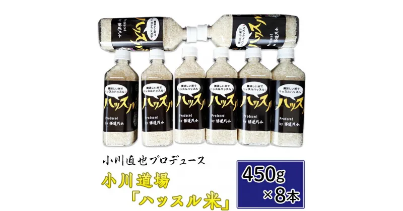 【ふるさと納税】米 小川直也 ハッスル 特別栽培米 176小川直也プロデュース・小川道場「ハッスル米」450g×8本 令和6年産