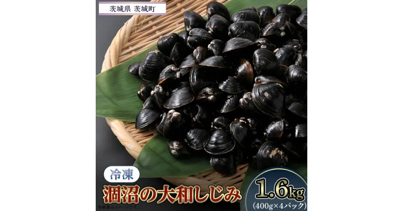 【ふるさと納税】しじみ 小分け 真空 オルニチン しじみ汁 しじみご飯 しじみバター 054涸沼の大和しじみ【冷凍】1.6kg（400g×4パック）