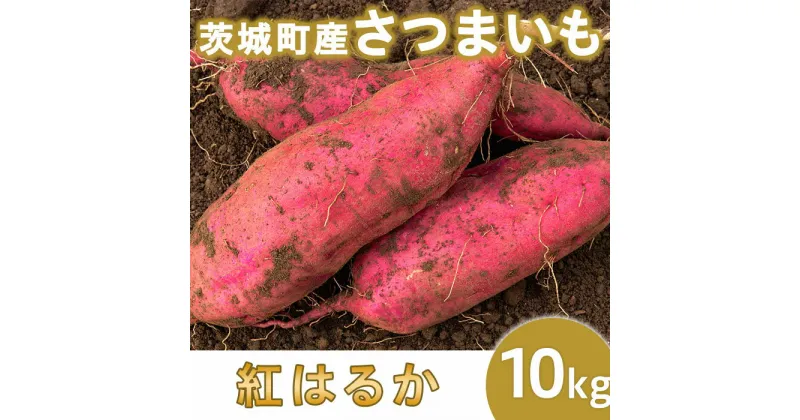 【ふるさと納税】さつまいも さつま芋 紅はるか 茨城 国産 間食 ダイエット 食物繊維 甘い 糖度 旬 009-1茨城町産紅はるか10kg（さつまいも）【2024年11月中旬頃より発送予定】