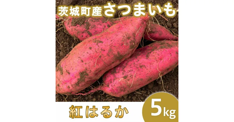 【ふるさと納税】さつまいも さつま芋 紅はるか 茨城 国産 間食 ダイエット 食物繊維 甘い 糖度 旬 233-1茨城町産紅はるか5kg（さつまいも）【2024年11月中旬頃より発送予定】