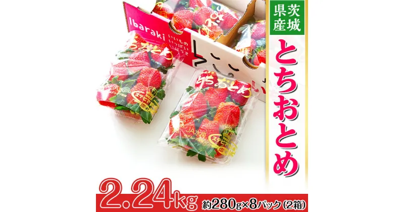 【ふるさと納税】いちご 先行予約 とちおとめ イチゴ 苺 200茨城県産いちご「とちおとめ」2.24kg（2箱8パック）【2025年1月中旬頃～3月下旬頃発送予定】