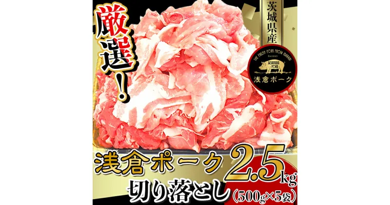 【ふるさと納税】豚肉 切り落とし 小分け 冷凍 真空 パック 国産 茨城県産 244厳選！茨城県産浅倉ポーク切り落とし2.5kg（500g×5袋・真空パック）