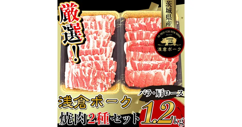 【ふるさと納税】豚肉 焼肉 小分け 冷凍 真空 パック 国産 茨城県産 250厳選！茨城県産浅倉ポーク焼肉2種セット1.2kg（バラ・肩ロース）