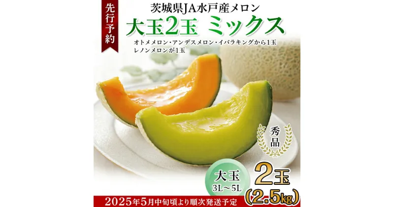 【ふるさと納税】フルーツ 先行予約 メロン めろん 茨城 秀品 食べ比べ 214茨城県JA水戸産メロン【秀品】大玉2玉ミックス(2.5kg)【2025年5月中旬頃より発送予定】