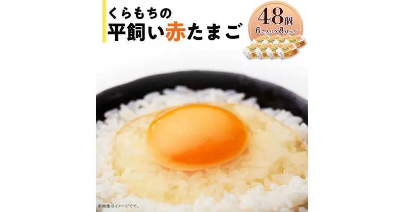 【ふるさと納税】くらもちの農場から平飼いたまご 赤玉子 新鮮 赤玉 高級 平飼い 健康 飼育 国産 鶏 鳥 鶏卵 卵 タマゴ お菓子 朝食 生卵 卵かけごはん TKG ゆでたまご オムレツ 親子丼 すき焼き 目玉焼き 356 たまご 48個 8パック 小分け 新鮮 赤 玉子 卵 タマゴ