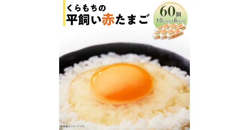 【ふるさと納税】くらもちの農場から平飼いたまご 赤玉子 新鮮 赤玉 高級 平飼い 健康 飼育 国産 鶏 鳥 鶏卵 卵 タマゴ お菓子 朝食 生卵 卵かけごはん TKG ゆでたまご オムレツ 親子丼 すき焼き 目玉焼き 357 たまご 60個 6パック 小分け 新鮮 赤 玉子 卵 タマゴ