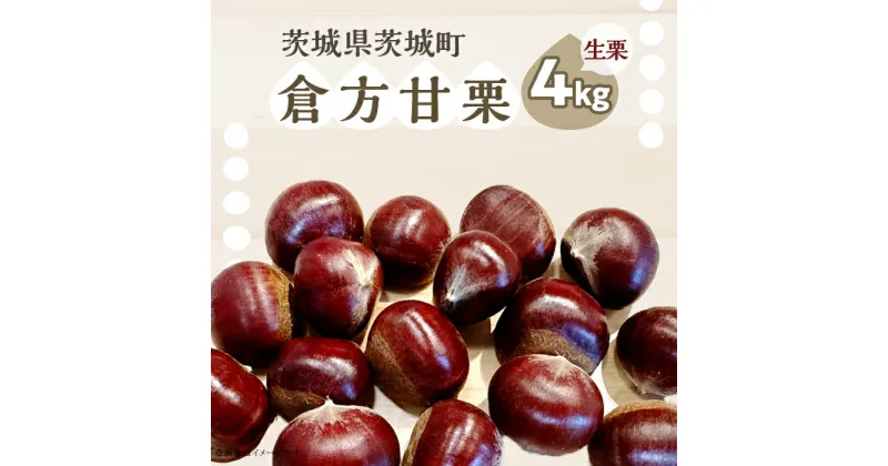 【ふるさと納税】365 倉方甘栗 4kg 栗 甘栗 希少品種 数量限定 くり 先行予約 2024年10月頃から発送予定