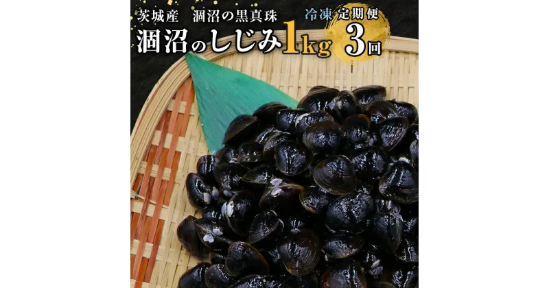 【ふるさと納税】しじみ 小分け 真空 オルニチン しじみ汁 しじみご飯 しじみバター 453 しじみ 定期便 1kg 冷凍 砂抜き 500g × 2袋 × 3回 ひぬま やまと シジミ 涸沼 大和 【3ヶ月連続お届け】