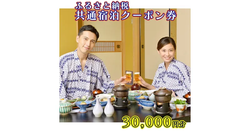 【ふるさと納税】 大洗町 共通 宿泊 クーポン 30,000円分（3,000円×10枚） 関東 茨城