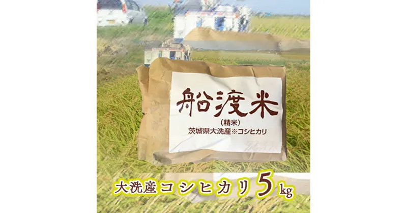 【ふるさと納税】 米 コシヒカリ 5kg 舟渡米 茨城 大洗 国産 白米 精米