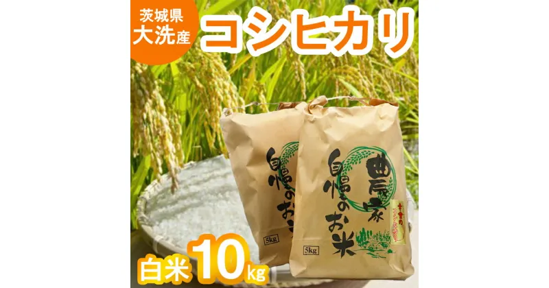 【ふるさと納税】令和6年産 新米 大洗産 コシヒカリ 白米 10kg (5kg×2袋） お米 茨城 精米 こめ 米 茨城県産米