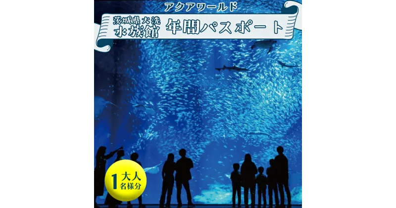 【ふるさと納税】アクアワールド茨城県大洗水族館 年間パスポート 大人1名 大洗 チケット 券 アクアワールド 水族館