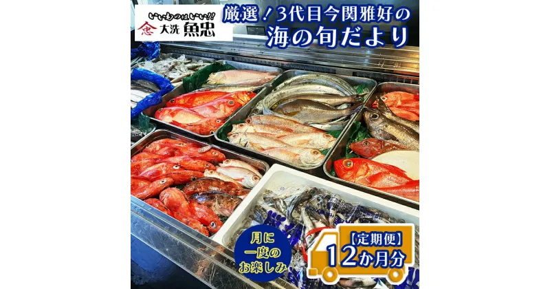 【ふるさと納税】定期便 12ヶ月 鮮魚店「魚忠」 厳選鮮魚セット 大洗 厳選 旬 魚 さかな