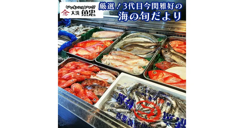 【ふるさと納税】鮮魚店「魚忠」 厳選鮮魚セット 大洗 厳選 旬 魚 さかな