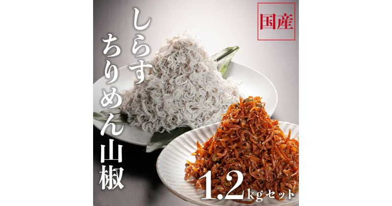 【ふるさと納税】 しらす 1kg ちりめん山椒 100g しらす佃煮 100g セット しらす干し 釜揚げしらす ちりめん山椒 しらす佃煮 国産 魚介類