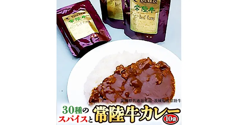 【ふるさと納税】常陸牛 極上カレー 10人前 セット 30種のスパイス 超本格 レトルト食品 カレールー レトルトカレー カレー ( 茨城県共通返礼品・茨城県産 )