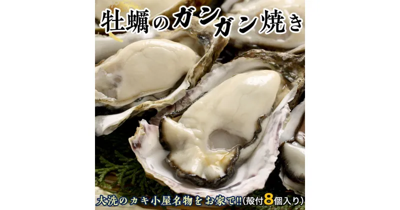 【ふるさと納税】 牡蠣 ガンガン焼き セット 殻付カキ 8個 冷凍 簡単調理 魚介類 カキ