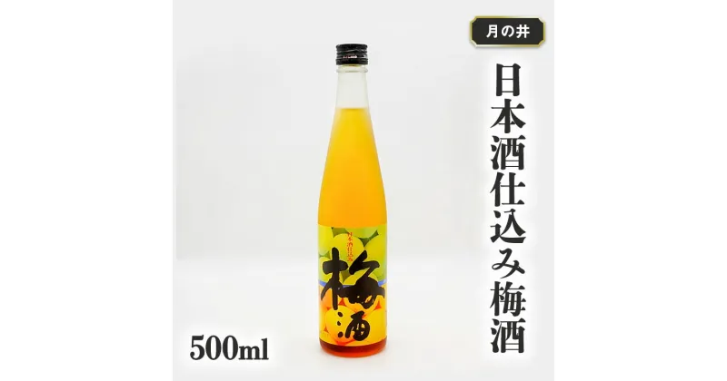 【ふるさと納税】日本酒 仕込み 梅酒 月の井 500ml 大洗 地酒 国産梅 低糖