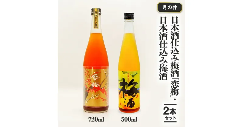 【ふるさと納税】日本酒 仕込み 梅酒 恋梅720ml 梅酒 500ml 2本 セット 月の井 大洗 地酒 国産梅 飲み比べ 茨城