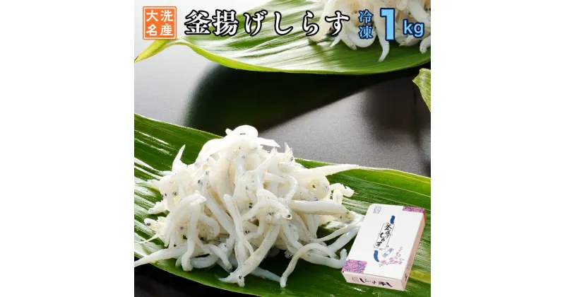 【ふるさと納税】釜揚げしらす 1kg 天然 釜揚げ ふっくら しらす シラス ギフト 新鮮 離乳食 大洗 茨城県 しらす干し 白洲 ごはん 丼 惣菜 おかず 弁当 国産 大洗町産 冷凍 名産 特産 魚介 海鮮