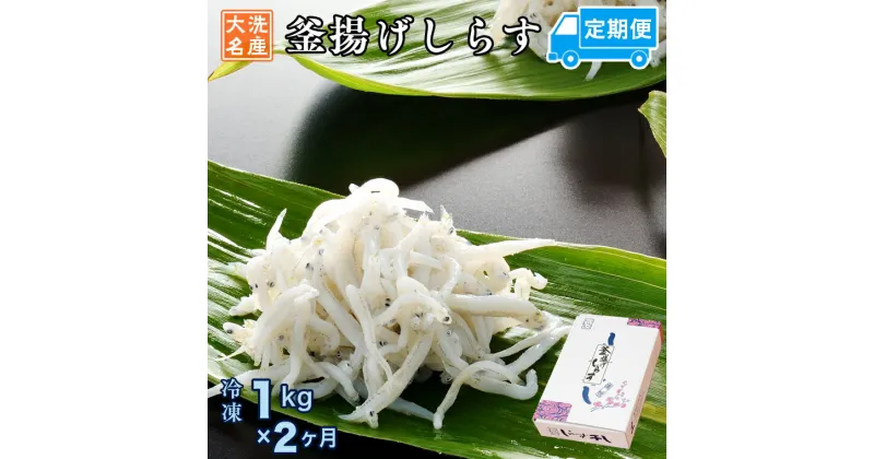 【ふるさと納税】定期便 釜揚げしらす (1kg×2か月) 天然 釜揚げ ふっくら しらす シラス 魚 さかな 魚介 離乳食 しらす干し 白洲 ごはん 丼 惣菜 おかず 弁当 国産 大洗町産 冷凍 名産 特産 魚介 海鮮