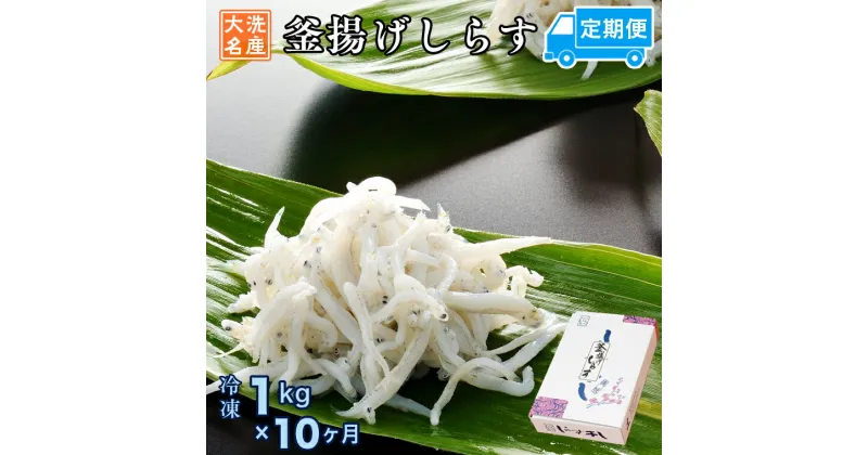 【ふるさと納税】定期便 釜揚げしらす (1kg×10か月) 天然 釜揚げ ふっくら しらす シラス 魚 さかな 魚介 離乳食 しらす干し 白洲 ごはん 丼 惣菜 おかず 弁当 国産 大洗町産 冷凍 名産 特産 魚介 海鮮