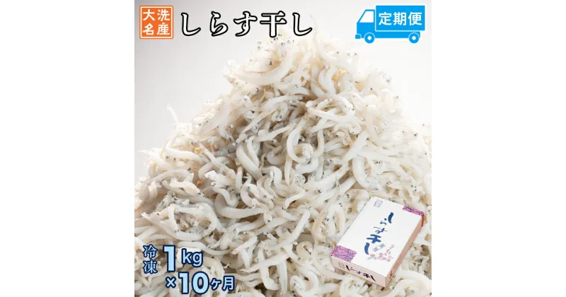 【ふるさと納税】定期便 しらす干し (1kg×10か月) 天然 ふっくら 大洗 名産 しらす シラス 魚 さかな 魚介 離乳食 しらす干し 白洲 ごはん 丼 惣菜 おかず 弁当 国産 大洗町産 冷凍 名産 特産 魚介 海鮮