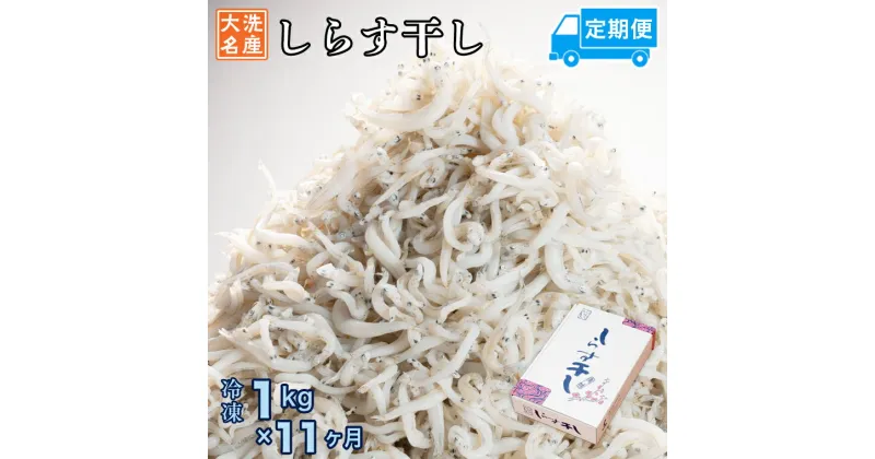 【ふるさと納税】定期便 しらす干し (1kg×11か月) 天然 ふっくら 大洗 名産 しらす シラス 魚 さかな 魚介 離乳食 しらす干し 白洲 ごはん 丼 惣菜 おかず 弁当 国産 大洗町産 冷凍 名産 特産 魚介 海鮮