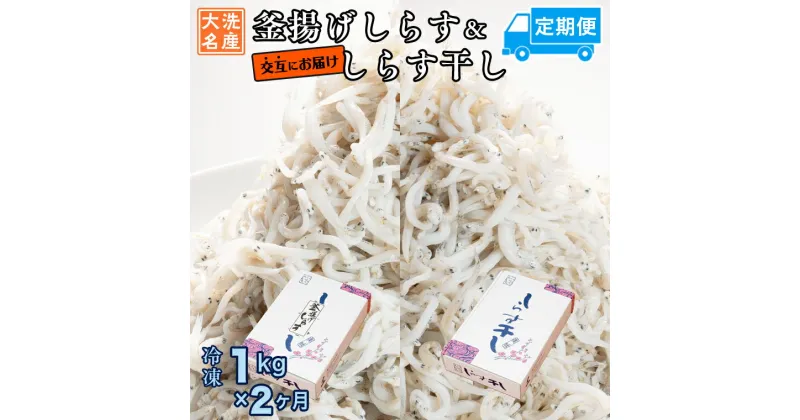 【ふるさと納税】釜揚げしらす しらす干し 交互 定期便 (1kg×2か月) 天然 ふっくら 大洗 名産 しらす シラス 魚 さかな 魚介 離乳食 しらす干し 白洲 ごはん 丼 惣菜 おかず 弁当 国産 大洗町産 冷凍 名産 特産 魚介 海鮮