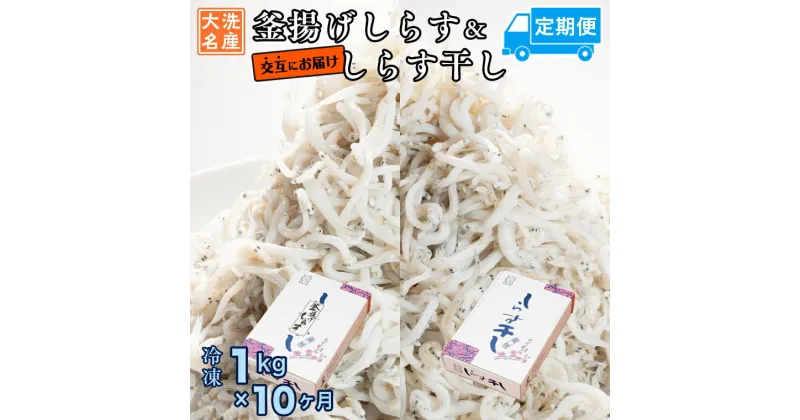 【ふるさと納税】釜揚げしらす しらす干し 交互 定期便 (1kg×10か月) 天然 ふっくら 大洗 名産 しらす シラス 魚 さかな 魚介 離乳食 しらす干し 白洲 ごはん 丼 惣菜 おかず 弁当 国産 大洗町産 冷凍 名産 特産 魚介 海鮮