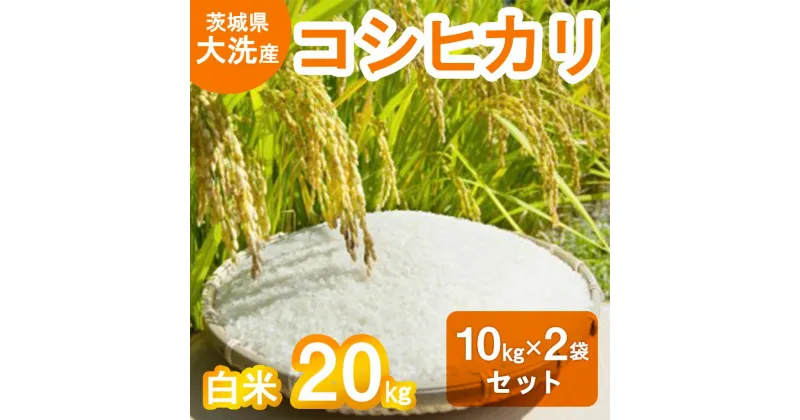 【ふるさと納税】令和6年産 新米 大洗産 コシヒカリ 白米 20kg (10kg×2袋） お米 茨城 精米 こめ 米