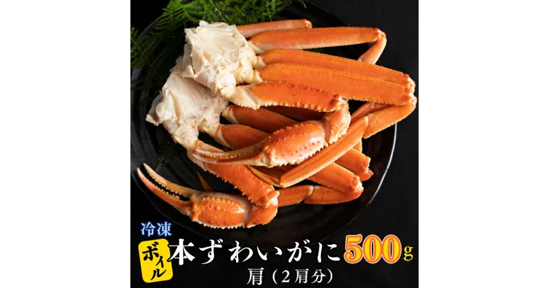 【ふるさと納税】ボイル 本ずわいがに 2肩 500g × 1 カジマ ずわい蟹 ズワイガニ ずわいがに かに カニ 蟹