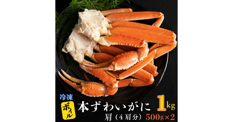 【ふるさと納税】ボイル 本ずわいがに 1kg 4肩 (500g × 2) カジマ ずわい蟹 ズワイガニ ずわいがに かに カニ 蟹