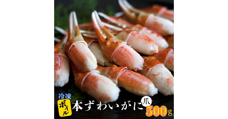 【ふるさと納税】ボイル 本ずわいがに 爪 500g×1 カジマ ずわい蟹 ズワイガニ ずわいがに かに カニ 蟹 かに爪 カニ爪