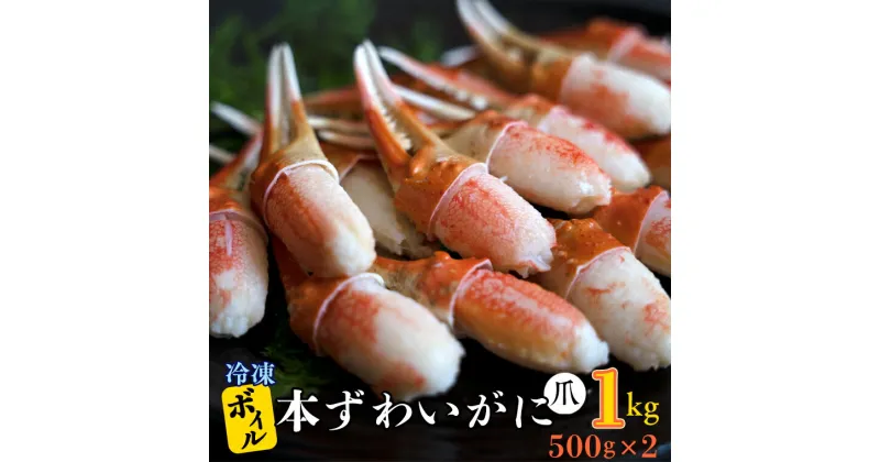 【ふるさと納税】ボイル 本ずわいがに 爪 1kg (500g × 2) カジマ ずわい蟹 ズワイガニ ずわいがに かに カニ 蟹 かに爪 カニ爪