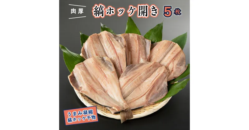 【ふるさと納税】干物 縞ホッケ開き 5枚 特大 肉厚 カジマ ほっけ 縞ほっけ ホッケ 焼き魚