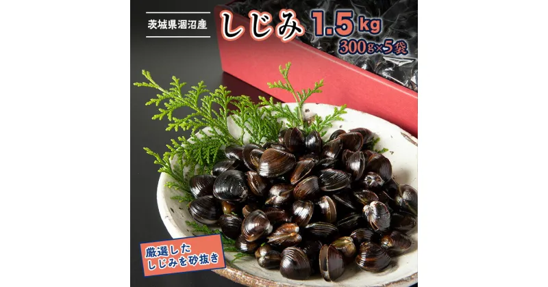 【ふるさと納税】冷凍しじみ 1.5kg （300g×5袋） 茨城県 涸沼産 カジマ シジミ 大和 しじみ 蜆 小分け