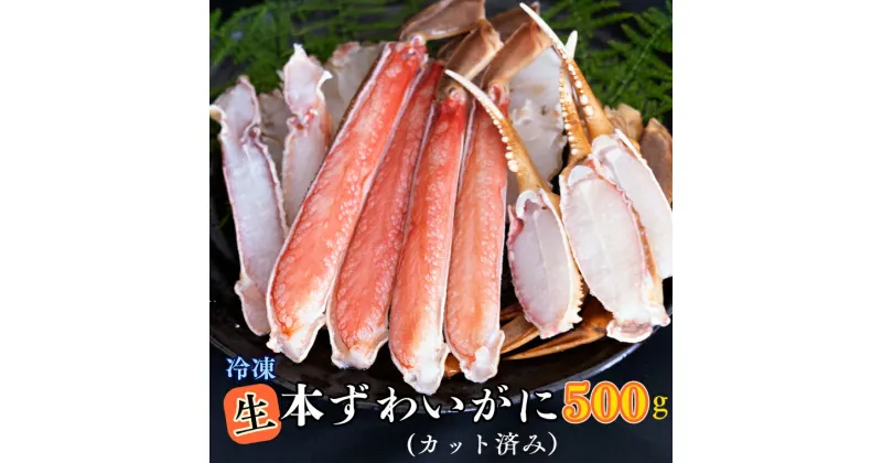 【ふるさと納税】生冷 ずわいがに カット済み 500g × 1 カジマ ずわい蟹 ズワイガニ かに カニ 蟹