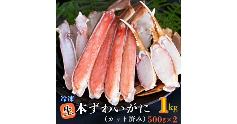 【ふるさと納税】生冷 ずわいがに カット済み 1kg (500g × 2) カジマ ずわい蟹 ズワイガニ かに カニ 蟹