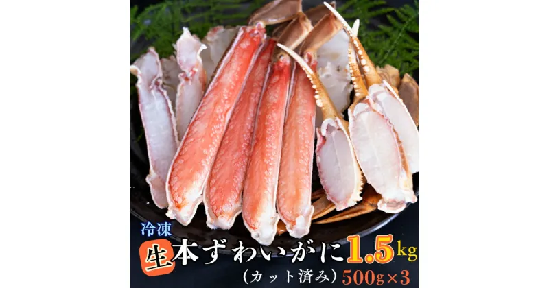 【ふるさと納税】生冷 ずわいがに カット済み 1.5kg (500g × 3) カジマ ずわい蟹 ズワイガニ かに カニ 蟹