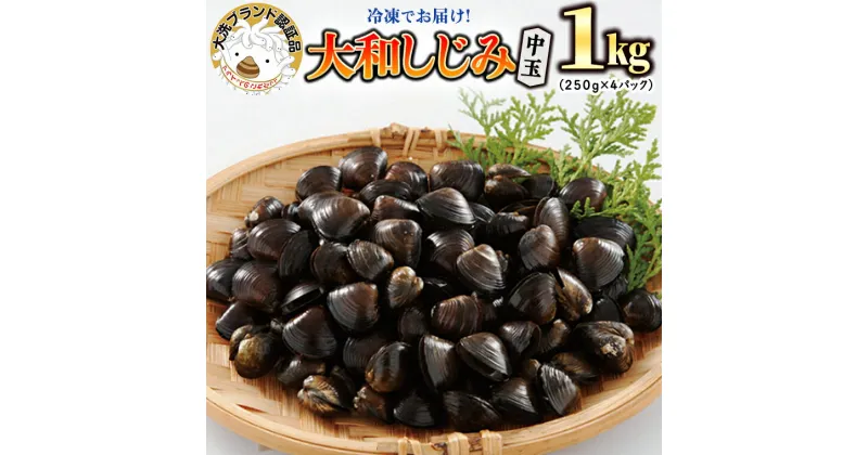 【ふるさと納税】大和 しじみ 1kg (250g×4) 中玉 冷凍 砂抜き済 大洗町 ブランド認証品 三大産地 涸沼産 レシピ付 シジミ 蜆