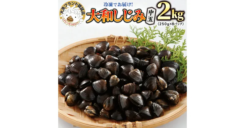 【ふるさと納税】大和 しじみ 2kg (250g×8) 中玉 冷凍 砂抜き済 大洗町 ブランド認証品 三大産地 涸沼産 レシピ付 シジミ 蜆