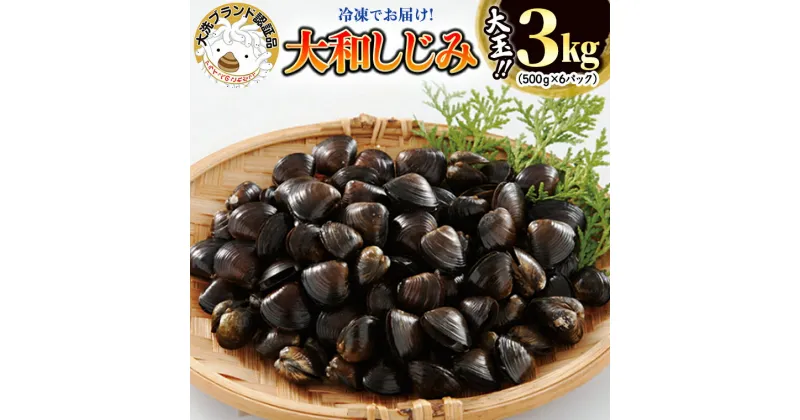 【ふるさと納税】大和 しじみ 3kg (500g×6) 大玉 冷凍 砂抜き済 大洗町 ブランド認証品 三大産地 涸沼産 レシピ付 シジミ 蜆