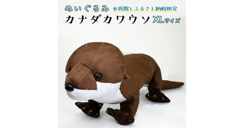 【ふるさと納税】ぬいぐるみ カワウソ XL アクアワールド 大洗 オリジナル グッズ 特大 120cm 茨城 水族館 カナダカワウソ かわうそ 限定