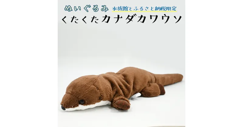 【ふるさと納税】ぬいぐるみ カワウソ アクアワールド 大洗 オリジナル グッズ 茨城 水族館 くたくたカナダカワウソ かわうそ 限定