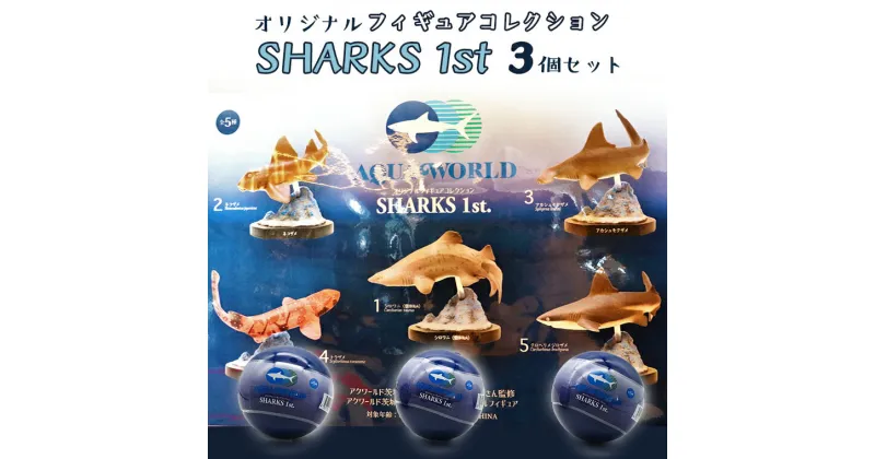 【ふるさと納税】オリジナル フィギュア SHARKS 1st 3個 セット アクアワールド 大洗 飼育員 監修 オリジナル グッズ コレクション 茨城 水族館 鮫 さめ サメ 限定