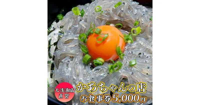 【ふるさと納税】漁協直営 かあちゃんの店 5,000円 お食事券 ご優待券 地魚 シラス 生シラス丼 漁師料理 旬の魚